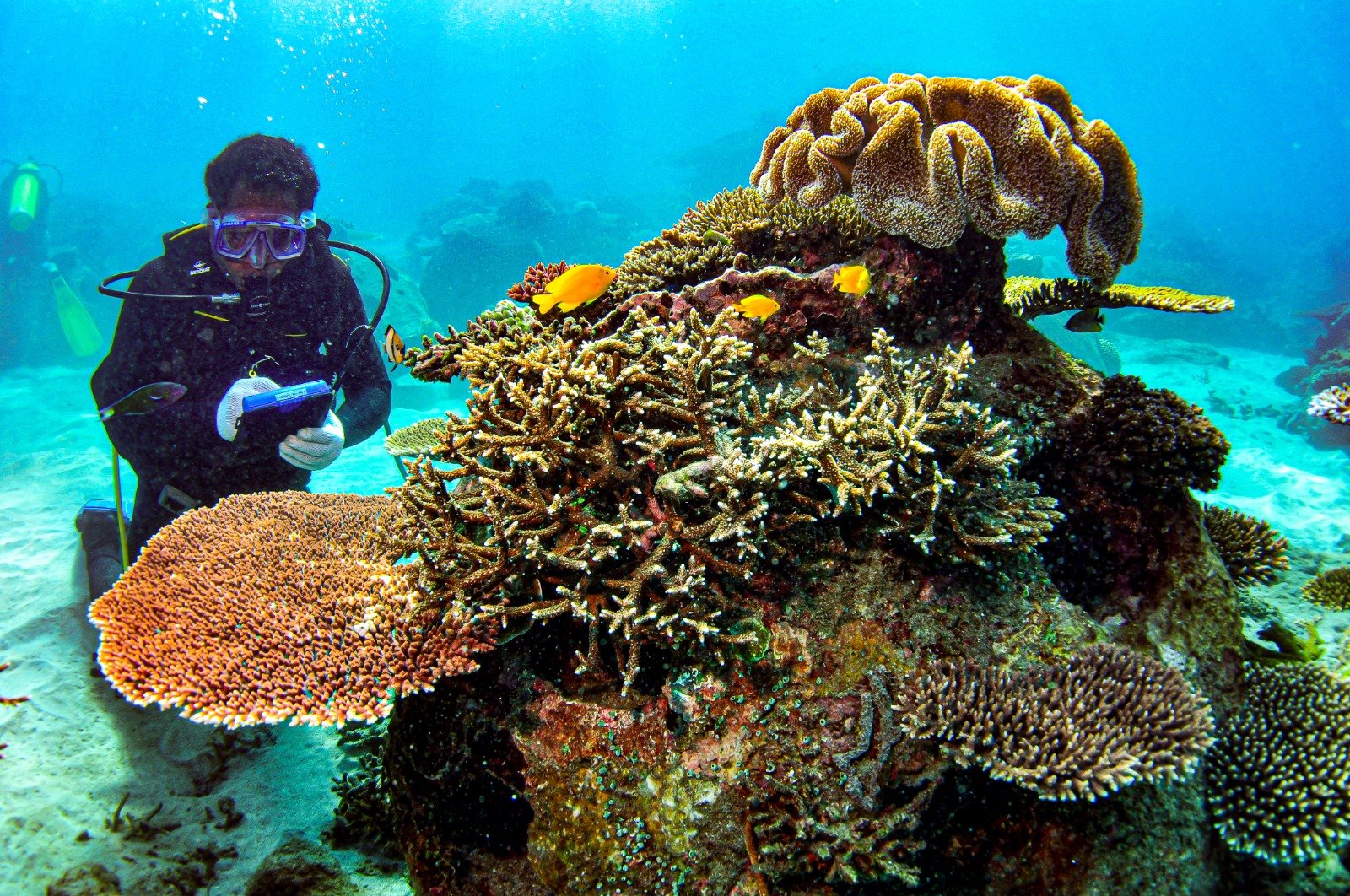 IMG 20260409 WA0017 - Lampaui Standar Kepatuhan Sosial dan Lingkungan, AMMAN Raih Predikat PROPER Hijau 2026