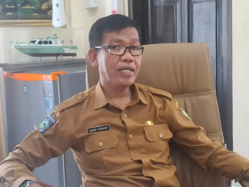 Kepala Dinas Kesehatan (Dikes) Kabupaten Sumbawa Sarip Hidayat