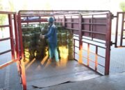 Perayaan Tahun Baru Islam, Pertamina Patra Niaga Tambah 88 Ribu Tabung LPG 3 Kg di NTB