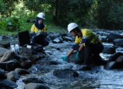 Di Balik Hijaunya Tambang Batu Hijau