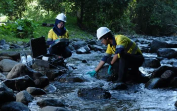 Di Balik Hijaunya Tambang Batu Hijau