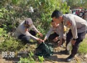 Warga Badas Temukan Bayi di Lahan Jagung