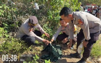 Warga Badas Temukan Bayi di Lahan Jagung