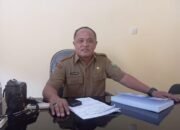 Siapkan Lokasi Khusus Barapan Kebo Sambut Puluhan Kapal Pesiar