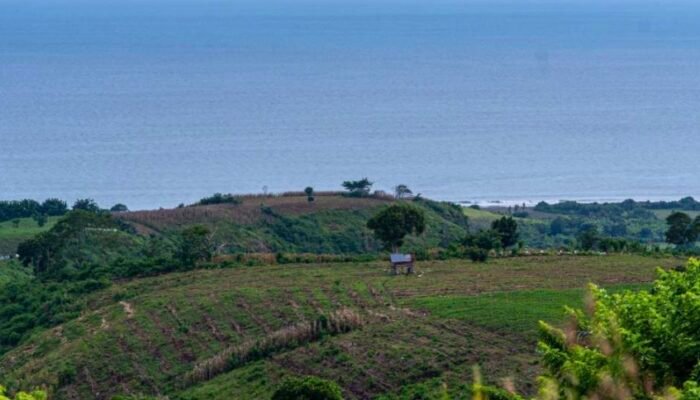 Ketua Komunitas Lar Leba Dodo Lampui Bantah Klaim Cek Bocek, Harapkan AMMAN Beri Akses ke Makam Leluhur
