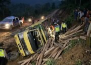 Gagal Nanjak dan Patah Roda, Truk Muatan Kayu Terbalik di Moyo Hulu